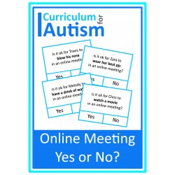 Online Meeting Yes No Social Skills Cards